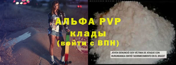 индика Балахна