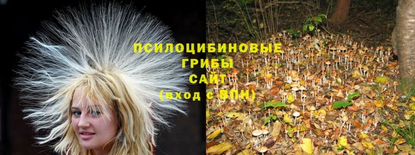 индика Балахна