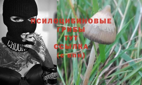 бошки Беломорск