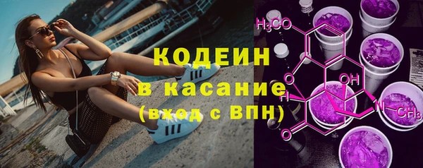 индика Балахна